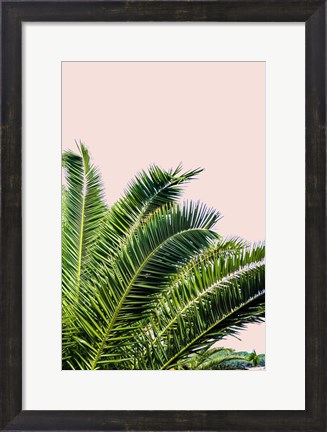 Framed Tropical Leaves On Blush I Print