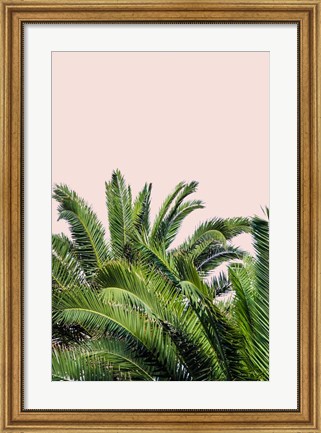 Framed Tropical Leaves on Blush II Print