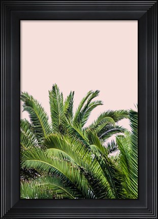 Framed Tropical Leaves on Blush II Print