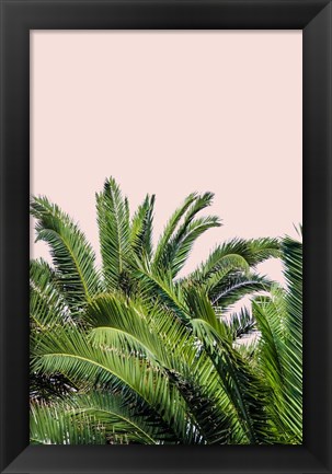 Framed Tropical Leaves on Blush II Print