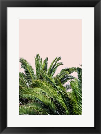 Framed Tropical Leaves on Blush II Print