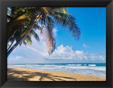 Framed Under the Palms Print