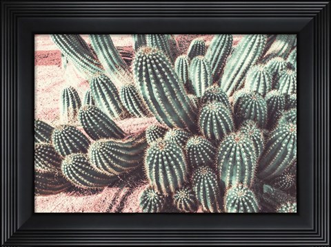 Framed Cactus Muted Burst Print