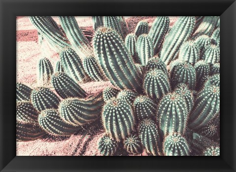 Framed Cactus Muted Burst Print