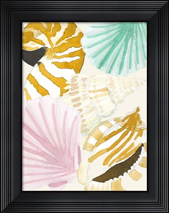 Framed Seashell Collage Print