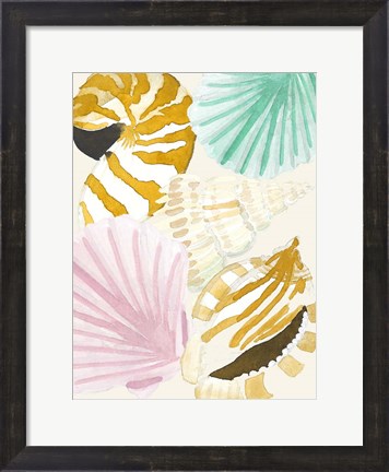 Framed Seashell Collage Print