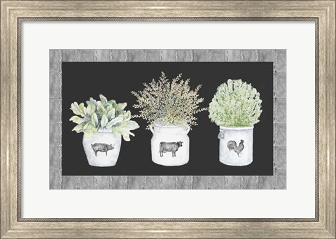 Framed Potted Farm Arrangement Trio on Chalkboard Print
