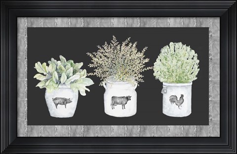 Framed Potted Farm Arrangement Trio on Chalkboard Print