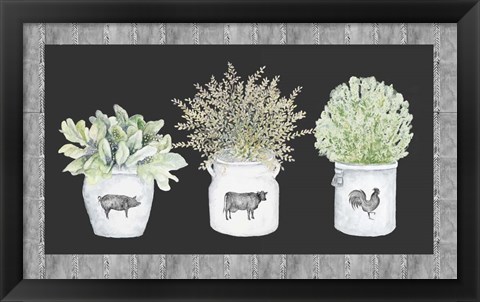 Framed Potted Farm Arrangement Trio on Chalkboard Print