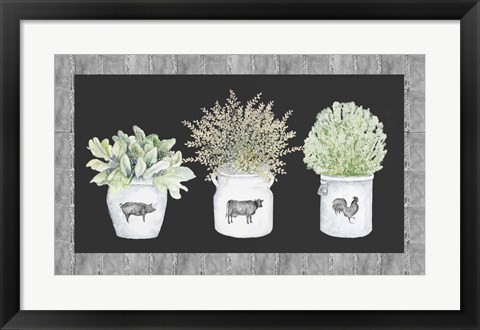 Framed Potted Farm Arrangement Trio on Chalkboard Print