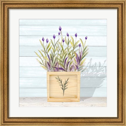 Framed Lavender and Wood Square II Print