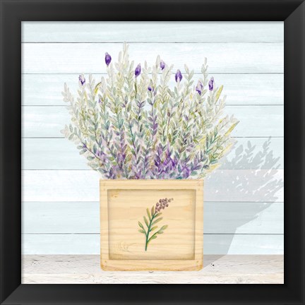 Framed Lavender and Wood Square III Print