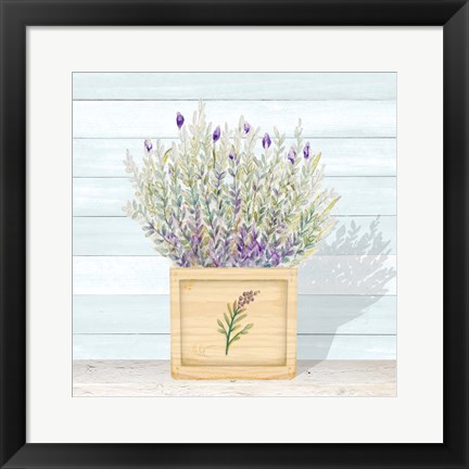 Framed Lavender and Wood Square III Print