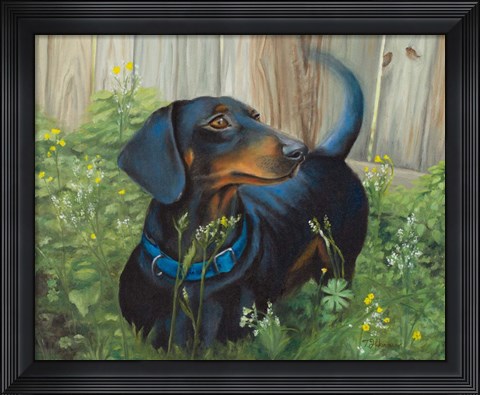 Framed Dachshund Print