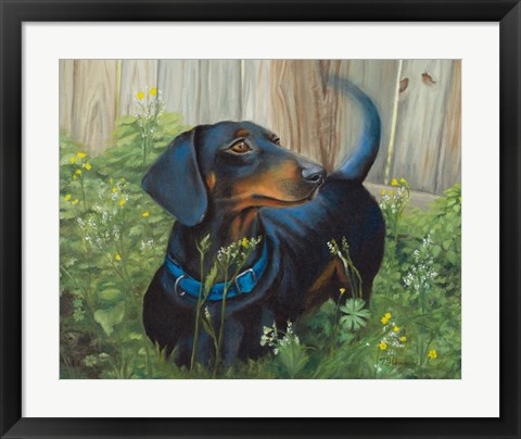 Framed Dachshund Print