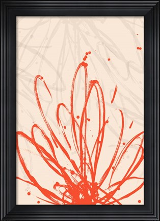 Framed Mandarin Burst II Print