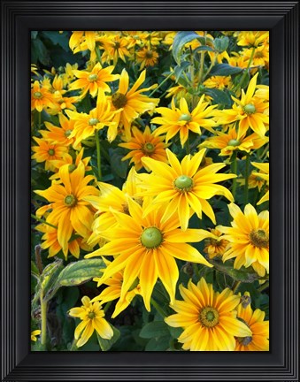 Framed Bright Spring Print