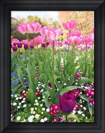 Framed Spring Garden Print