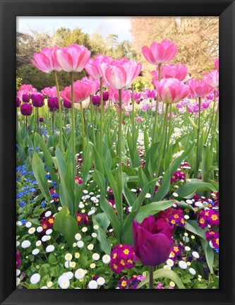 Framed Spring Garden Print