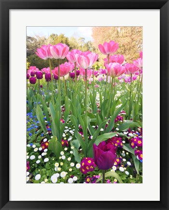 Framed Spring Garden Print