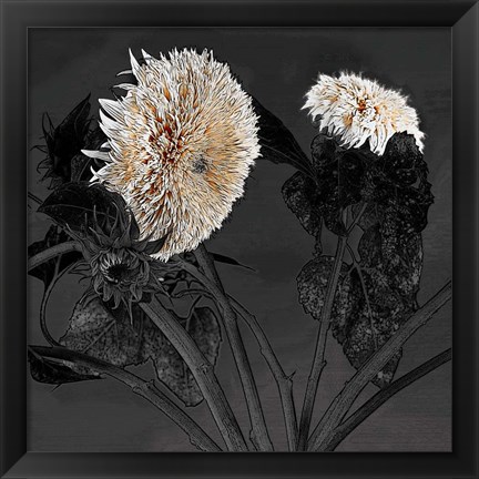 Framed Sunflowers I Print