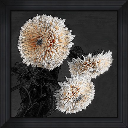 Framed Sunflowers II Print