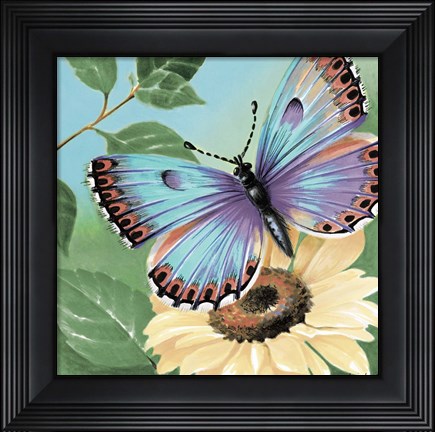 Framed Butterfly Flowers II Print