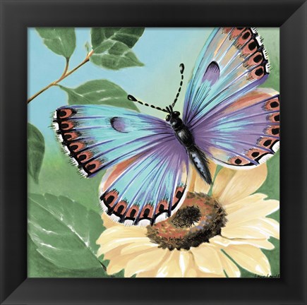 Framed Butterfly Flowers II Print