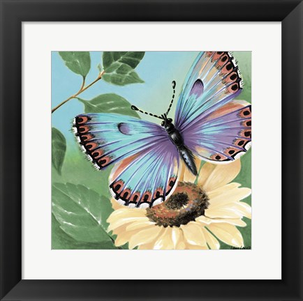 Framed Butterfly Flowers II Print