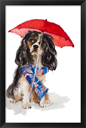 Framed King Charles Spaniel In The Rain Print