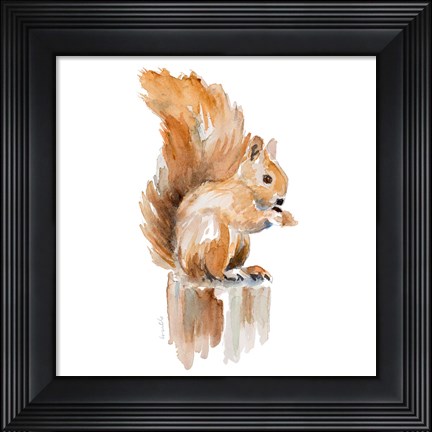 Framed Watercolor Squirrel Print