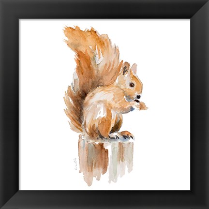 Framed Watercolor Squirrel Print