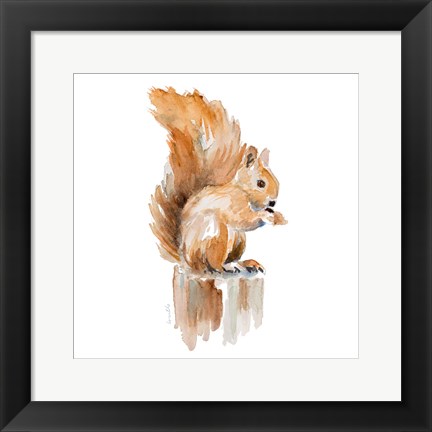 Framed Watercolor Squirrel Print