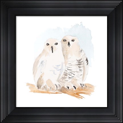 Framed Watercolor Snowy Owls Print