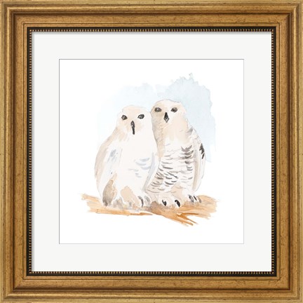 Framed Watercolor Snowy Owls Print