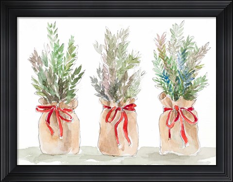 Framed Spruce Wrapped in Burlap Print