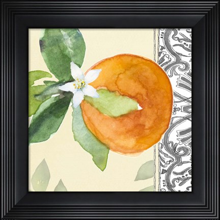 Framed Orange Blossoms I Print
