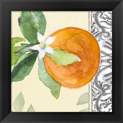 Framed Orange Blossoms I Print