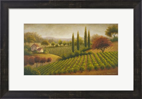 Framed Vineyard In The Sun I Print