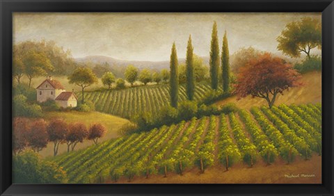 Framed Vineyard In The Sun I Print