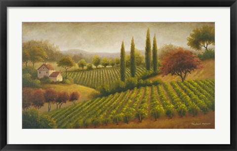 Framed Vineyard In The Sun I Print