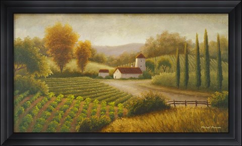 Framed Vineyard In The Sun II Print