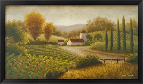 Framed Vineyard In The Sun II Print