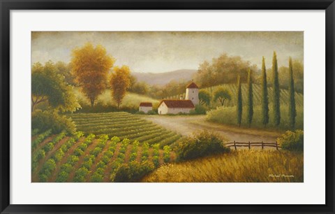 Framed Vineyard In The Sun II Print