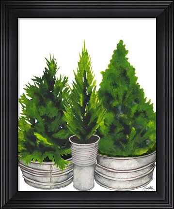 Framed Evergreens in Galvanized Tins Print