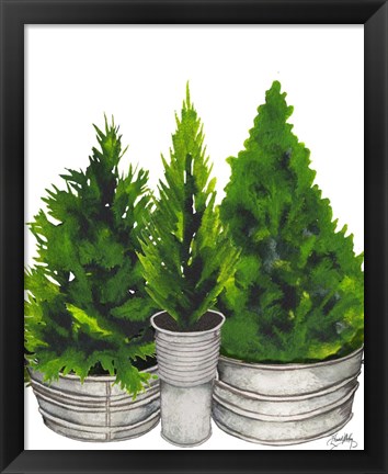 Framed Evergreens in Galvanized Tins Print