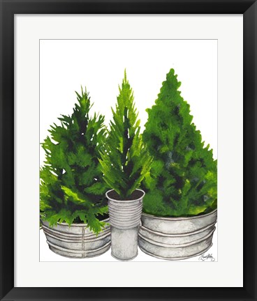 Framed Evergreens in Galvanized Tins Print