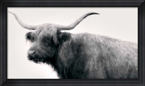 Framed Vintage Bull Print