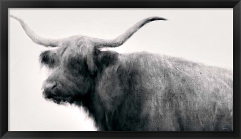 Framed Vintage Bull Print