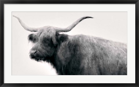 Framed Vintage Bull Print